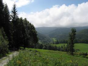 Latzelova stezka krasem Rychlebských hor