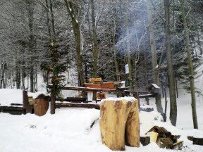 Lesní bar - Lipová lázně, Horní Lipová
