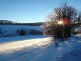 Zimn odpoledne v Rychlebskch horch