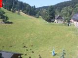 Ostru�n�