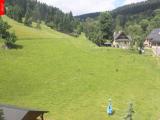 Ostru�n�