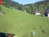 webkamera Ostru�n�