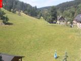webkamera Ostru�n�